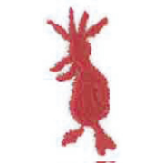 No.25 ホロホロチョウ