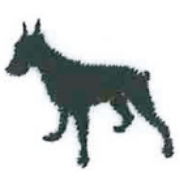 No.29 ドーベルマン