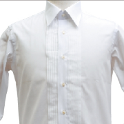 ピンタック B細