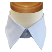 エドワードレギュラー