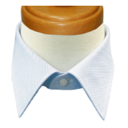 スチュアートレギュラー